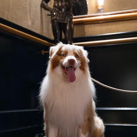 Western De Dieppe 1880 Otel 4*