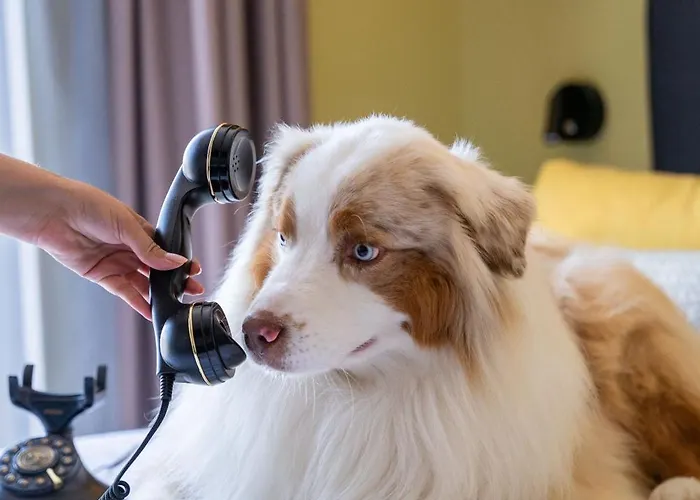 Western De Dieppe 1880